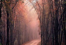 关于夏季联赛最新形势：北京国安高居榜首，热刺强势追赶，冠军归属成迷的信息